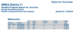 Score Report